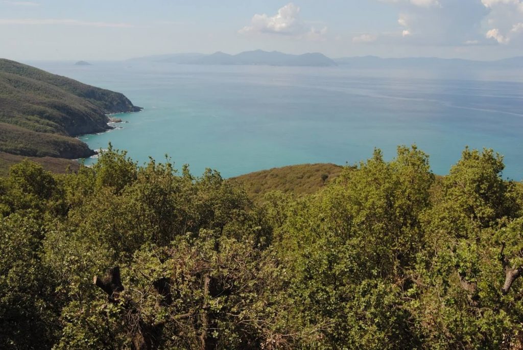 Costa degli Etruschi mare